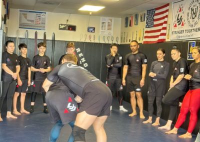 Life Jiu Jitsu Seminar Christiano Triosi00020 400x284