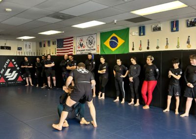 Life Jiu Jitsu Seminar Christiano Triosi00085 400x284