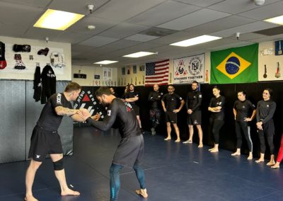 Life Jiu Jitsu Seminar Christiano Triosi00089 400x284