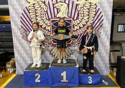 Ljj Grappling X00002 400x284