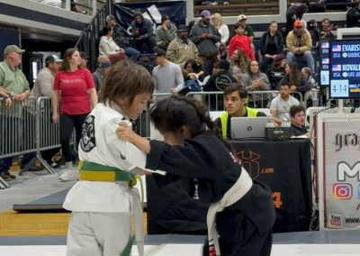 Ljj Grappling X00064 400x284