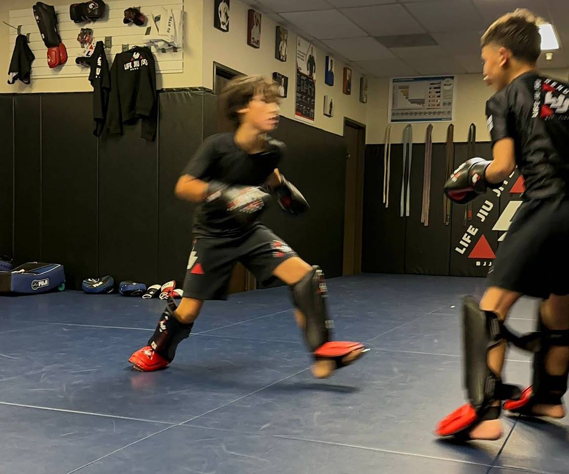 Ljj Jiu Jitsu Martial Arts